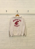 1970s Distressed Washington State Hoodie