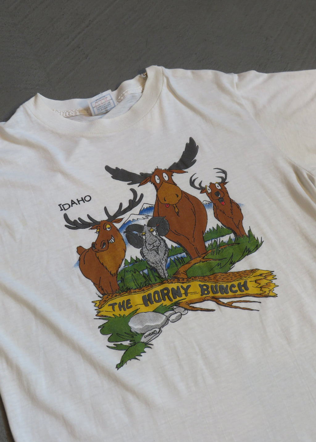 1990s Idaho Horny Bunch T-Shirt | S